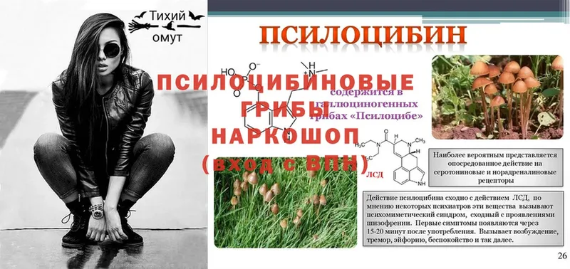 Галлюциногенные грибы Psilocybine cubensis  как найти наркотики  Тосно 