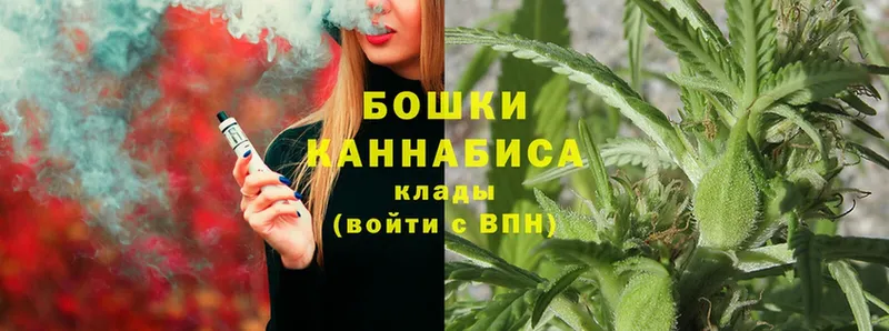 нарко площадка наркотические препараты  Тосно  Конопля Ganja 